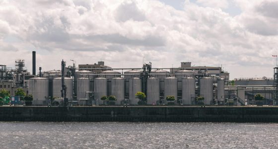 pexels-dario-rawert-724203352-26443232